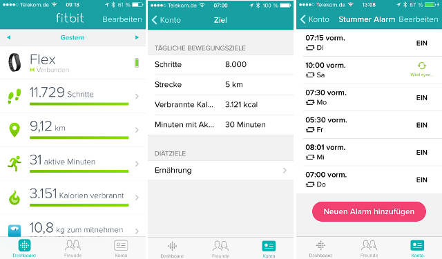 Tagesleistung im Flex von Fitbit